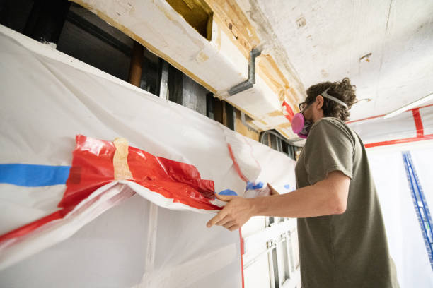 Best Post-Construction Mold Inspection  in Cedar Crest, MA
